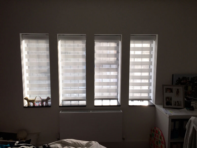 Duo Roll Pleated Blinds